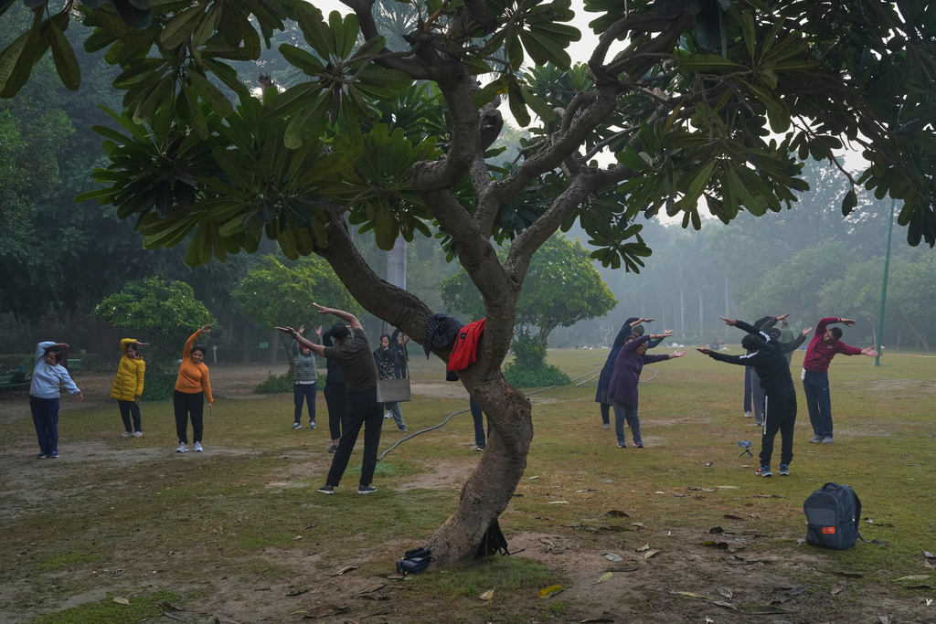 A group of people perform Yoga on a smog-filled morning in New Delhi, India, Tuesday, Nov. 18, 2025. (AP Photo/Manish Swarup)