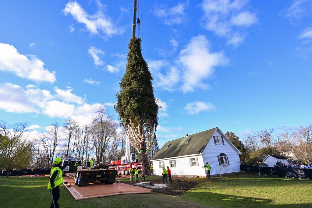 IMAGE DISTRIBUTED TISHMAN SPEYER - Workers prepare to crane a wrapped 75-foot tall, 11-ton Norway Spruce, that will serve as this year's Rockefeller Center Christmas Tree, onto a flatbed truck, Thursday, Nov. 6, 2025, in East Greenbush, NY. The wrapped tree will be brought into New York City by flatbed truck and raised into place at Rockefeller Center on Saturday, Nov. 8. (Diane Bondareff/AP Content Services for Tishman Speyer)