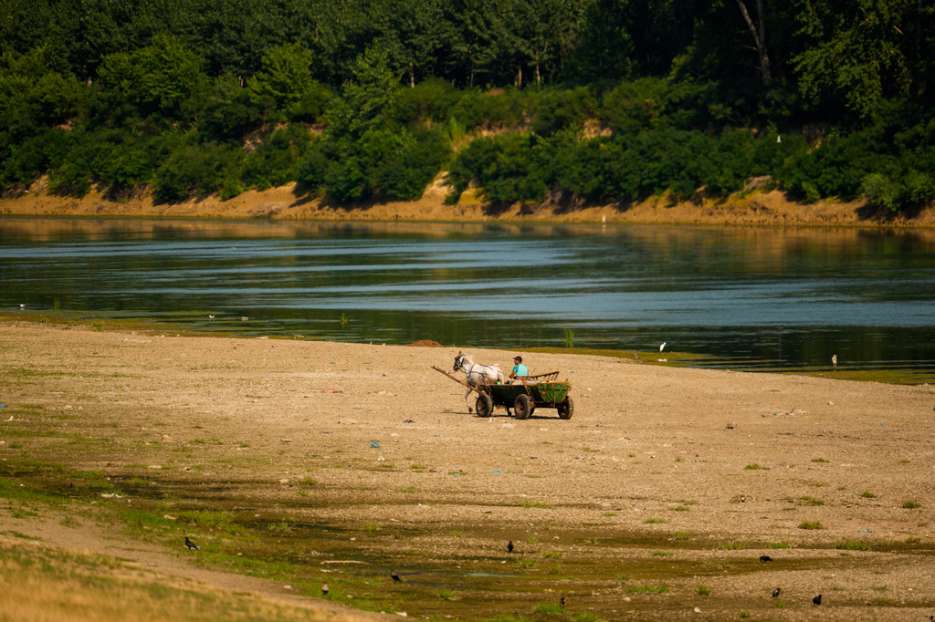 A man rides his horse-pulled cart on a bank of sand on the Danube River, as usually submerged areas are exposed due to extreme low levels of the water following an extended period of drought in Roseti, Romania, Wednesday, July 29, 2026. (AP Photo/Andreea Alexandru)