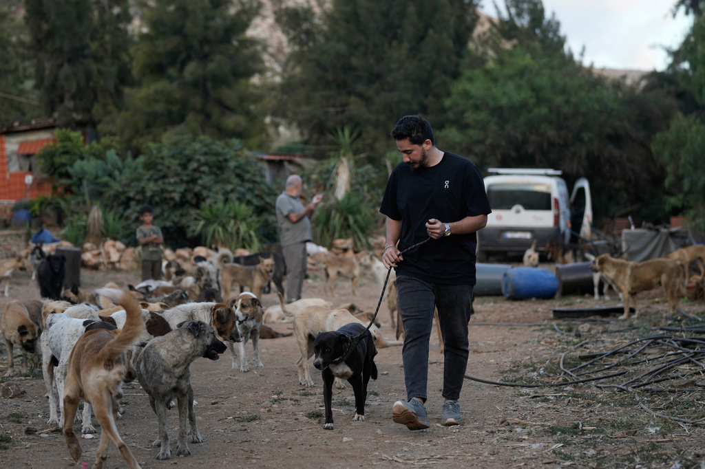 Abbas Shoeib, leads a dog he's adopting after his owners were killed in an Israeli airstrike, at an animal shelter in the village of Kfaroue, near Nabatiyeh, southern Lebanon, Thursday, July 2, 2026. (AP Photo/Bilal Hussein)