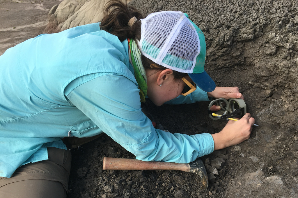 In this photo provided by researchers, Caitlin Leslie collects paleomagnetic samples in the San Juan Basin of northwestern New Mexico in May 2016. (Daniel J. Peppe via AP)