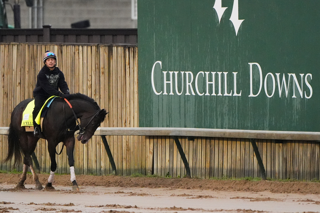 Kentucky Derby alternate Ocelli works out at Churchill Downs Wednesday, April 29, 2026, in Louisville, Ky. (AP Photo/Charlie Riedel)