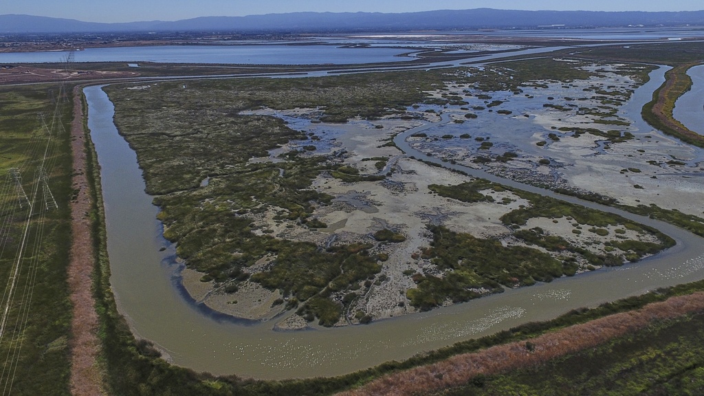 Pond A19, which has been fully restored as part of the South Bay Salt Pond Restoration Project, is visible Thursday, Aug. 14, 2025, in Fremont, Calif. (AP Photo/Godofredo A. Vásquez)