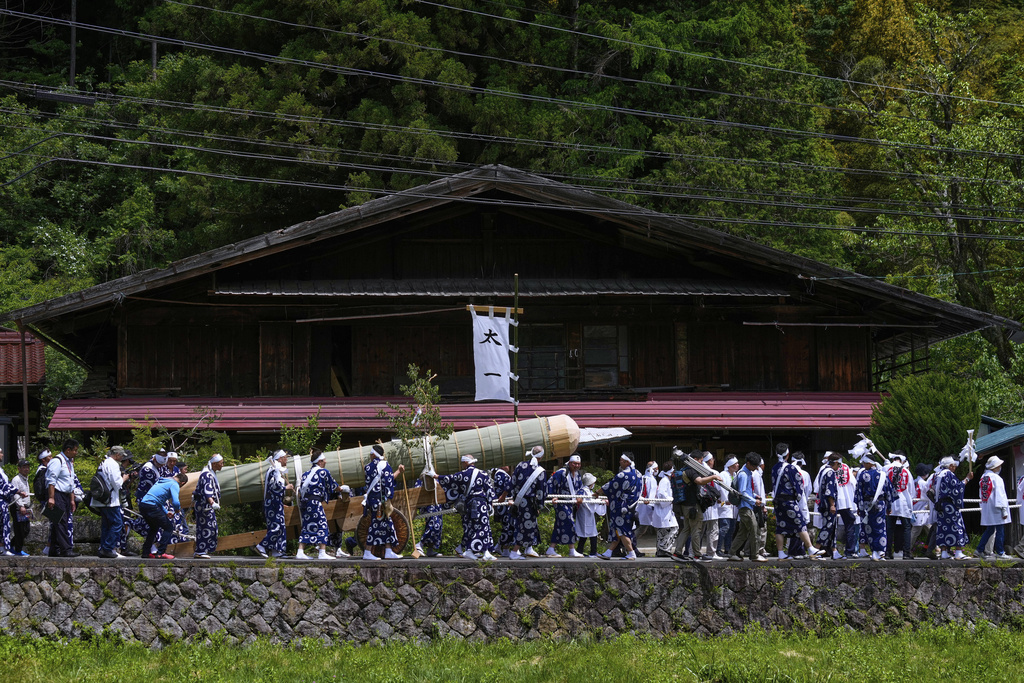 People pull a sacred timber of a cypress tree felled in the previous day's Misomahajimesai, an early ceremony of the Shikinen Sengu ritual to rebuild main structures of the Ise Jingu shrine for Shinto deities, during a procession in local celebrations in Agematsu, central Japan, Wednesday, June 4, 2025. (AP Photo/Hiro Komae)