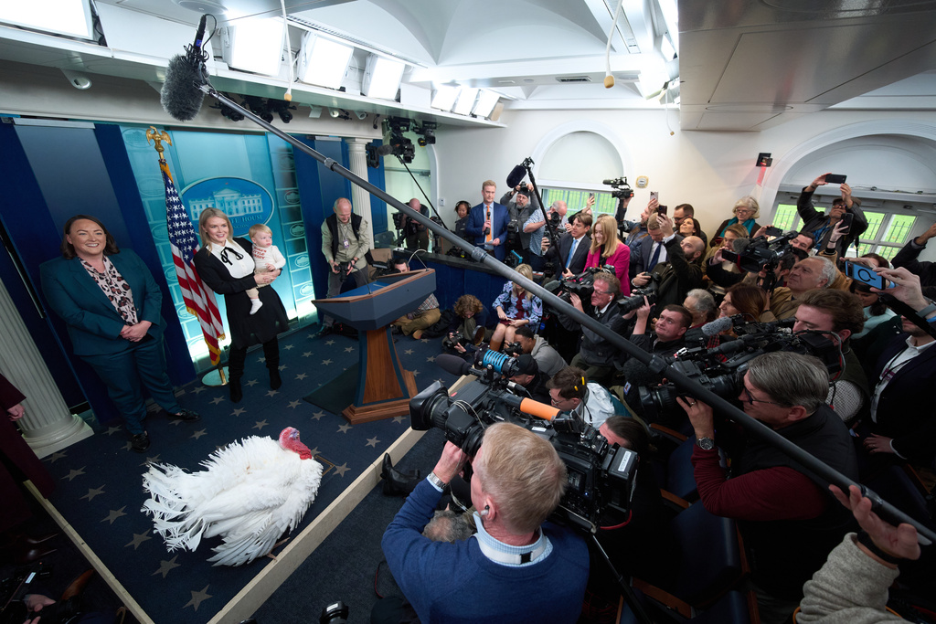 White House press secretary Karoline Leavitt and her son Nicholas look at Waddle, the alternate national Thanksgiving turkey, in the White House briefing room, Tuesday, Nov. 25, 2025, in Washington. (AP Photo/Evan Vucci)