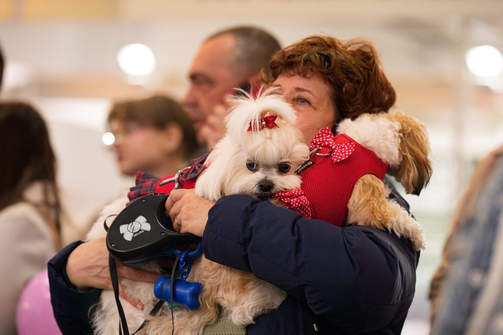 A woman holds dogs during a pet costume parade at the Pet Expo in Bucharest, Romania, Saturday, March 14, 2026. (AP Photo/Vadim Ghirda)