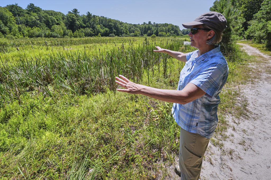 Beth Lambert, Director of the Massachusetts Division of Ecological Restoration, explains the past restoration process on a former cranberry bog, which was restored to a natural habitat, at the Eel River Preserve, Thursday, Aug. 7, 2025, in Plymouth, Mass. (AP Photo/Charles Krupa)