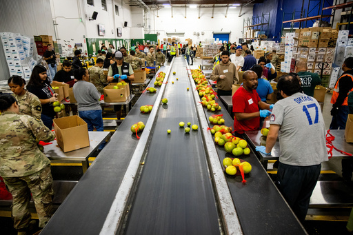 California National Guard sort produce at the Los Angeles Food Bank Wednesday, Oct. 29, 2025, in Los Angeles. (AP Photo/Ethan Swope) California National Guard sort produce at the Los Angeles Food Bank Wednesday, Oct. 29, 2025, in Los Angeles. (AP Photo/Ethan Swope)