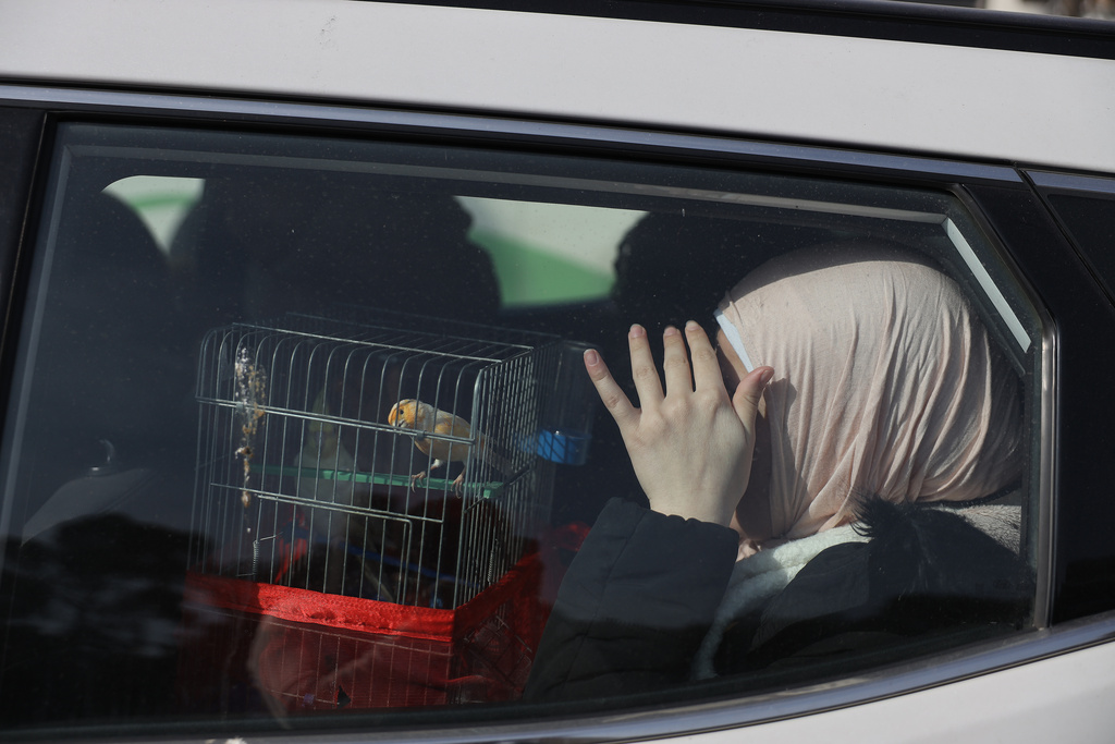 A woman sits in a car with her bird as she is fleeing from Sheikh Maqsoud and Achrafieh neighborhoods, after clashes broke out on Tuesday between Syrian government forces and Kurdish fighters in a contested area of the northern city of Aleppo, Syria, Wednesday, Jan. 7, 2026. (AP Photo/Omar Albam)