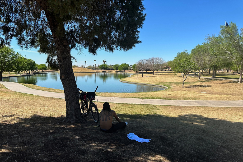 FILE - A man sits under the shade of a tree at Steele Indian School Park in Phoenix, March 25, 2025. (AP Photo/Terry Tang, File)