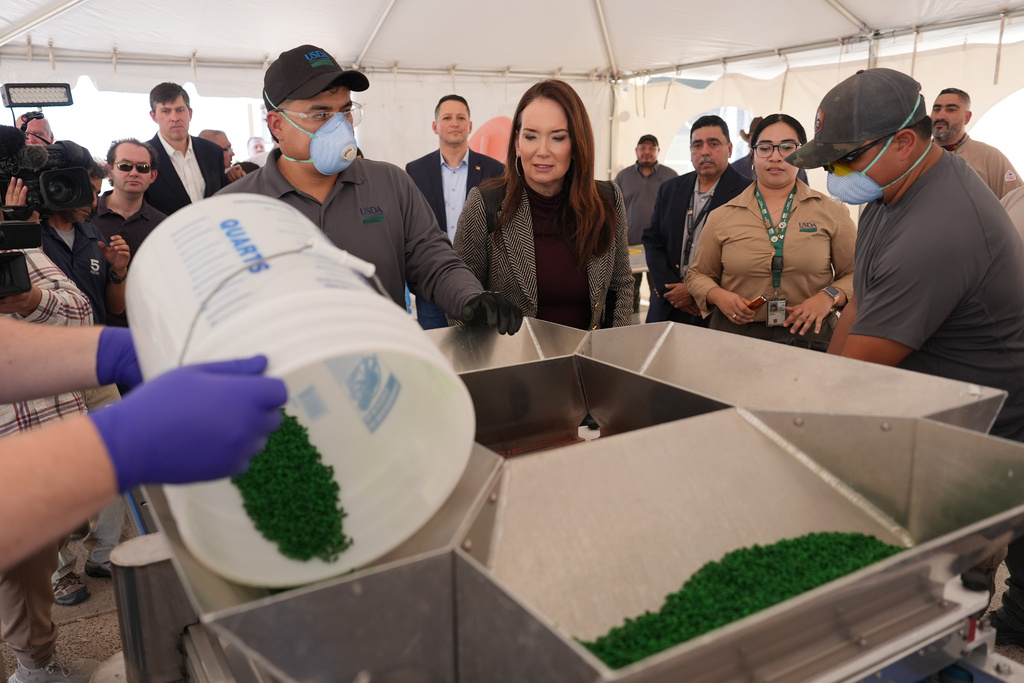 U.S. Secretary of Agriculture Brooke Rollins, center, watches as fly pupae are dyed and separated following a ribbon-cutting ceremony for the grand opening of a Domestic New World Screwworm Sterile Fly Production Facility to combat the northward spread of NWS and protect American livestock, in Edinburg, Texas, Monday, Feb. 9, 2026. (AP Photo/Eric Gay)