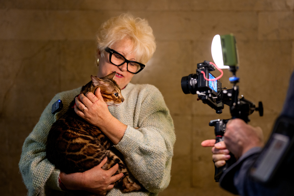 A woman holds Tristan, a Bengal cat, while being interviewed at an international feline beauty competition, dubbed the Feline Oscars, featuring more than 200 cats, in Bucharest, Romania, Saturday, March 21, 2026. (AP Photo/Andreea Alexandru)