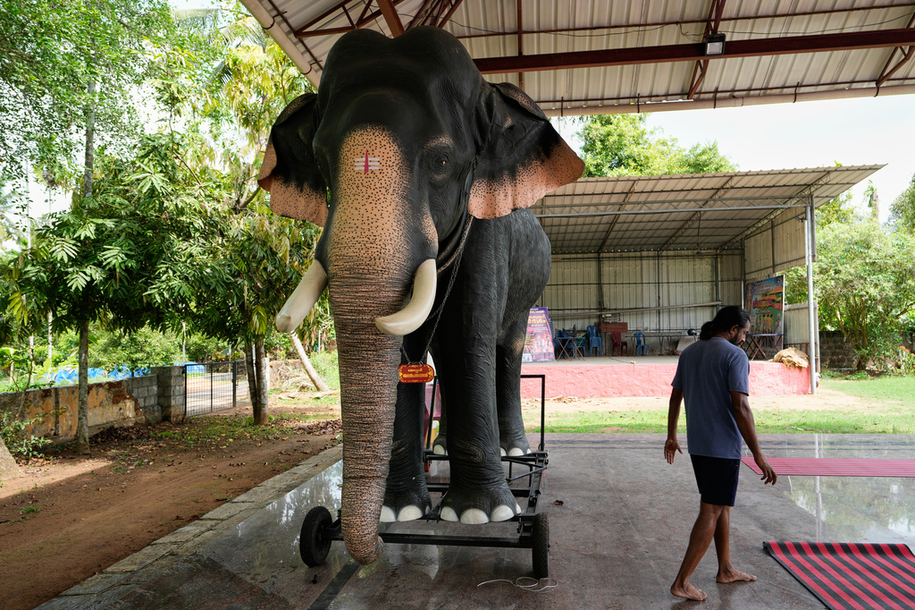 Prasanth Prakashan, a mechanical engineer, walks past a robotic elephant manufactured by him that stands inside the compound of Cheekamundi Sri Mahavishnu Temple in Thrissur, in the southern Indian state of Kerala, Friday, May 22, 2026. (AP Photo/Aijaz Rahi)