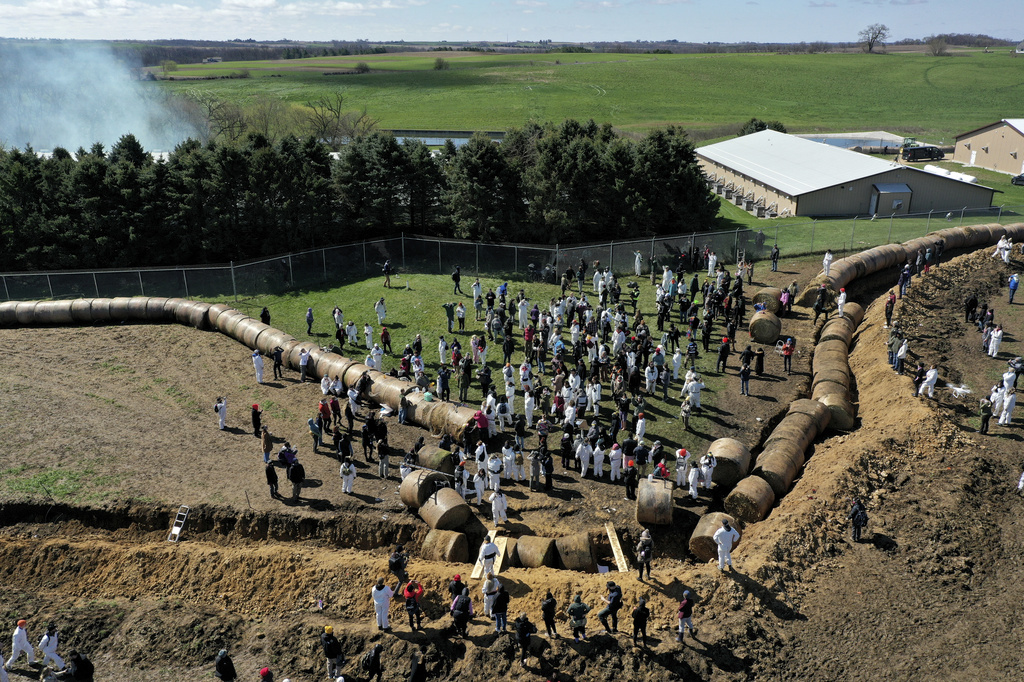 Animal rights activists attempt to break into Ridglan Farms beagle breeding and research facility in Blue Mounds, Wis., Saturday, April 18, 2026. (Amber Arnold/Wisconsin State Journal via AP)