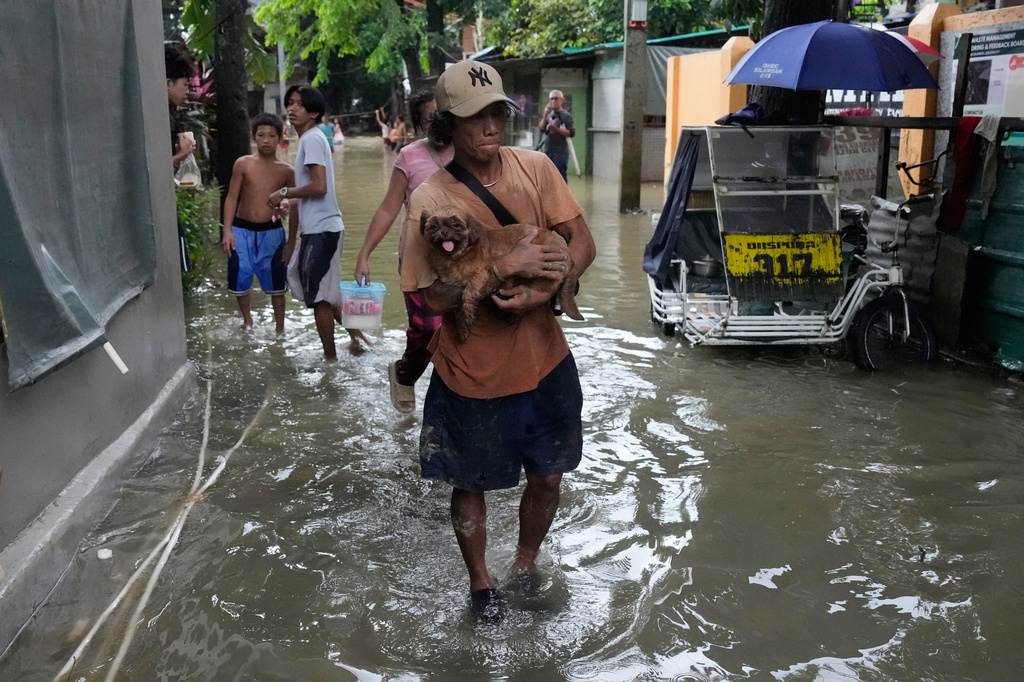 A man carries his dog along floodwaters caused by heavy seasonal monsoon rains at Bagong Silangan village in Quezon city, Metro Manila, Philippines Monday, Aug. 10, 2026. (AP Photo/Aaron Favila) CORRECTION: Corrects typo in location to Silangan, instead of Silagan