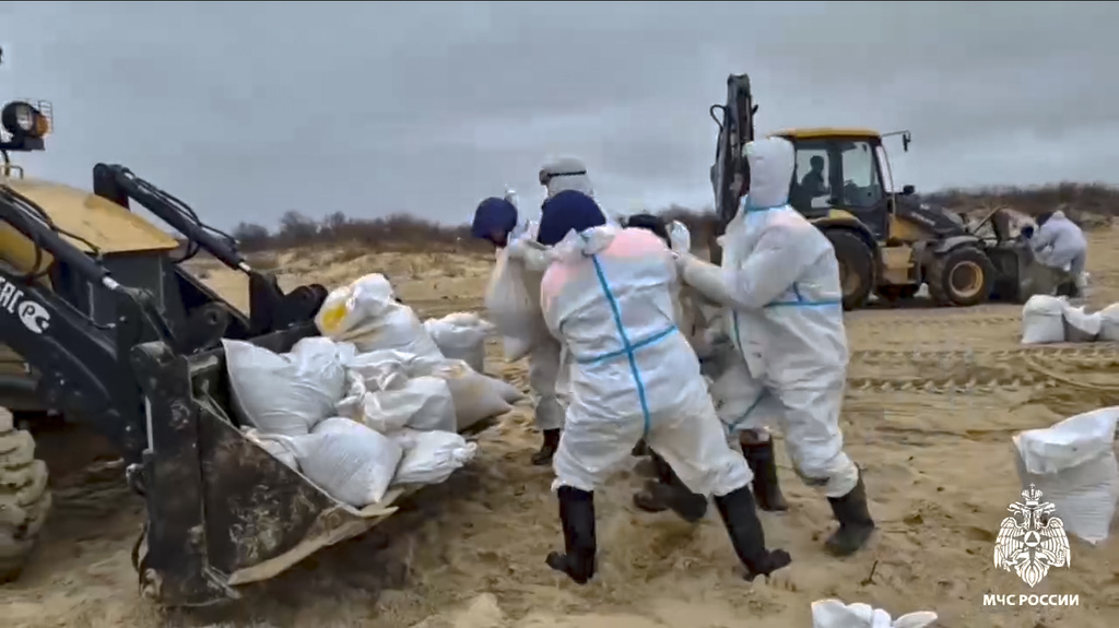 Russia-appointed officials in Crimea declare emergency as oil spill ...
