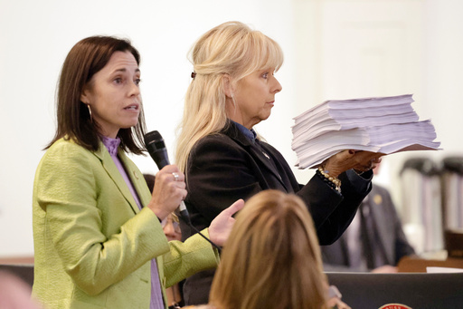Rep. Beth Helfrich, D-Mecklenberg, left, refers to a stack of public comments held by Rep. Julia Greenfield, D-Mecklenberg, right, during debate on a redistricting bill at the Legislative Building, Wednesday, Oct. 22, 2025, in Raleigh, N.C. (AP Photo/Chris Seward) Rep. Beth Helfrich, D-Mecklenberg, left, refers to a stack of public comments held by Rep. Julia Greenfield, D-Mecklenberg, right, during debate on a redistricting bill at the Legislative Building, Wednesday, Oct. 22, 2025, in Raleigh, N.C. (AP Photo/Chris Seward)