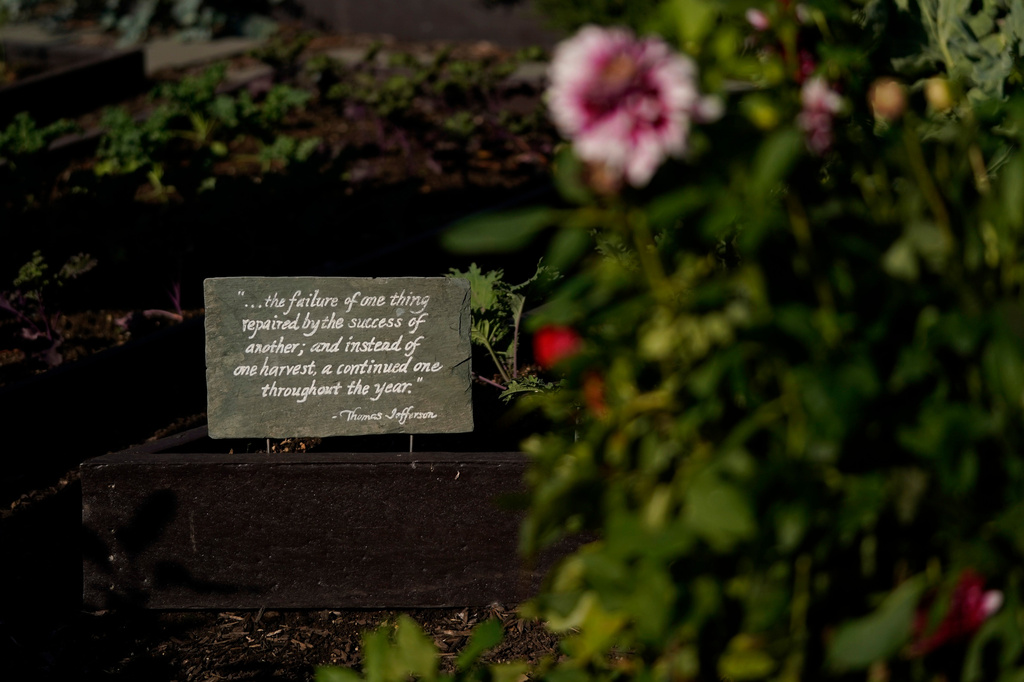 FILE - A quote by Thomas Jefferson, "…the failure of one thing repaired by the success of another; and instead of one harvest, a continued one throughout the year." is displayed in the White House Kitchen Garden during the White House Fall Garden Tour in Washington, Oct. 8, 2022. (AP Photo/Carolyn Kaster, File)