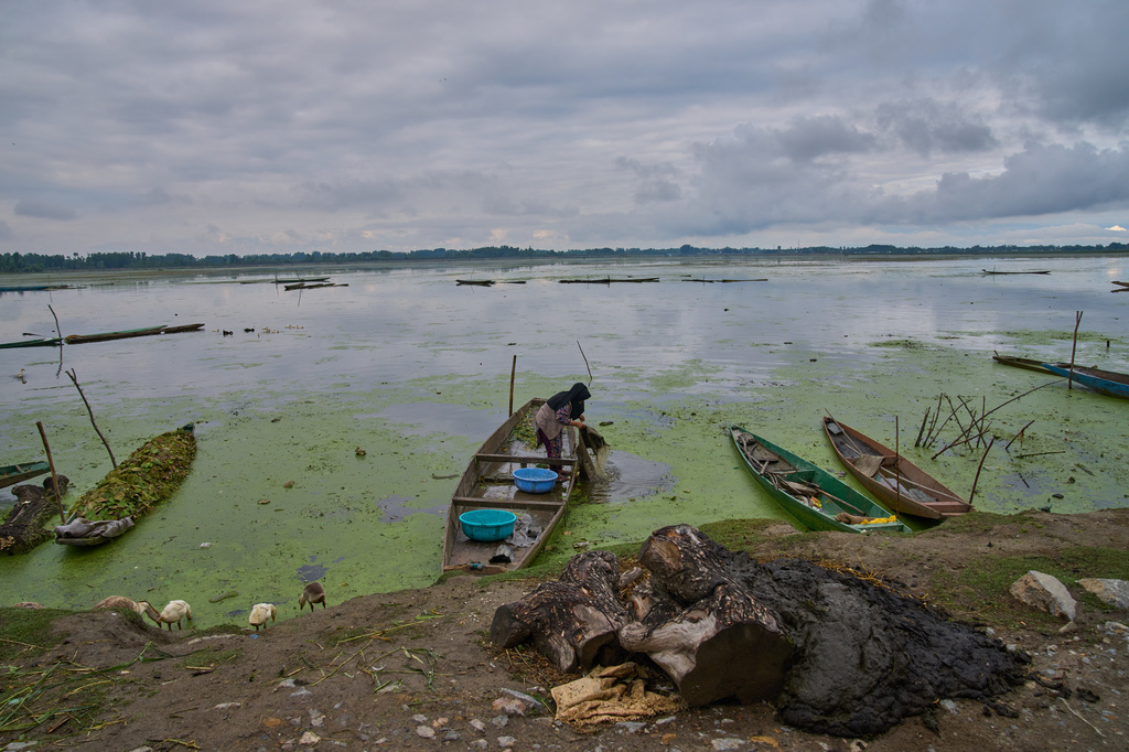 A Kashmiri woman cleans a blanket in algae-filled water on the banks of Wular Lake in Bandipor, northeast of Srinagar, Indian controlled Kashmir, Tuesday, May 5, 2026. (AP Photo/Dar Yasin)