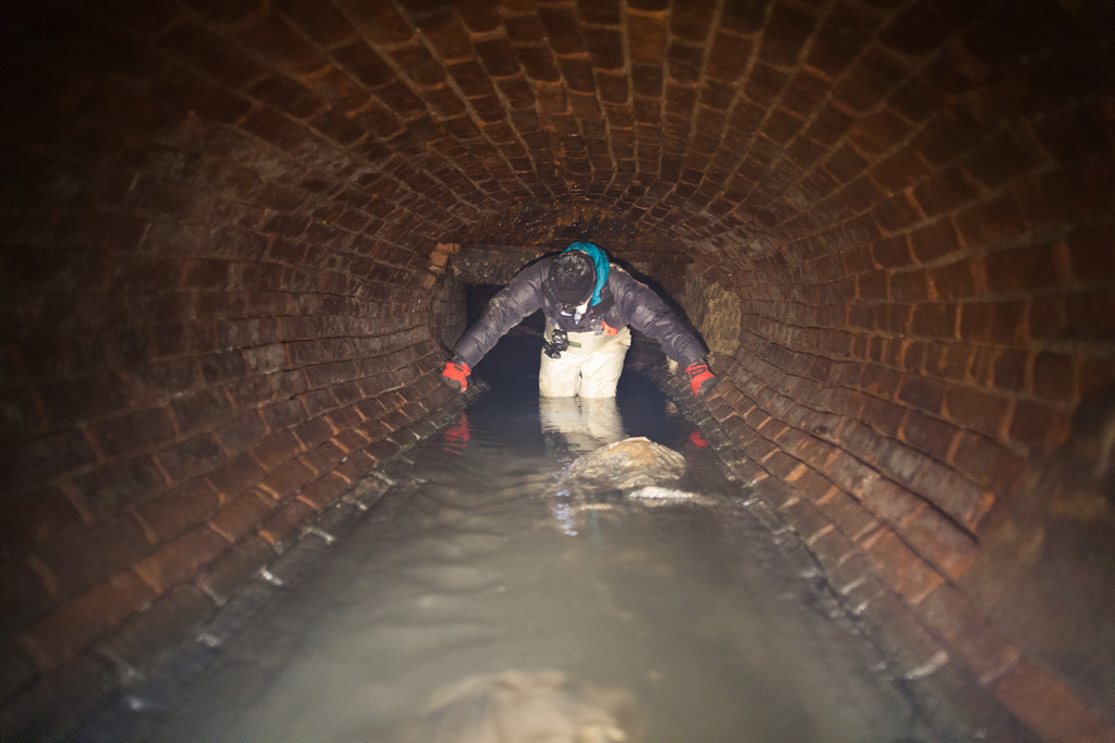 This undated photo provided by Steve Duncan, shows the Canal Street sewer in New York. ( Steve Duncan via AP)