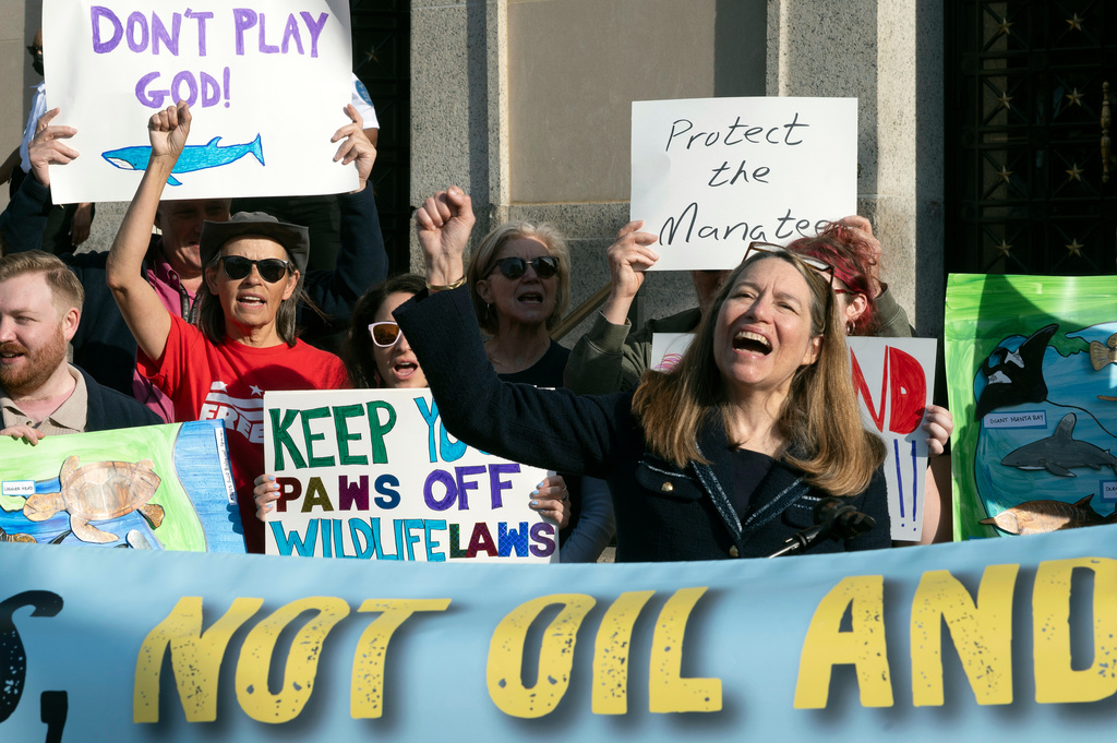Susan Holmes, executive director of the Endangered Species Coalition, right, speaks in front of the Interior Department building during a rally to oppose the Trump administration's convening of the Endangered Species Committee, in Washington, Tuesday, March 31, 2026. (AP Photo/Cliff Owen)