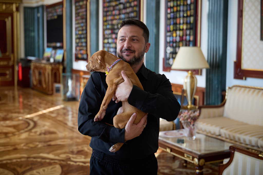 In this photo provided by the Ukrainian Presidential Press Office, Ukrainian President Volodymyr Zelenskyy holds a special gift from American boxer Terence Crawford - an American Pit Bull Terrier puppy named Freya, linked to the Ukrainian air defense system FREYJA, which is currently in development, in Kyiv, Ukraine, Tuesday, Aug. 25, 2026. (Ukrainian Presidential Press Office via AP)