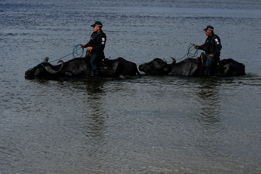 FILE - Police officers on buffaloes patrol the port of Soure, on Marajo Island, Brazil, Nov. 2, 2025, days ahead of the annual United Nations climate conference where world leaders will gather at the edge of Brazil’s Amazon rainforest. (AP Photo/Eraldo Peres, File)
