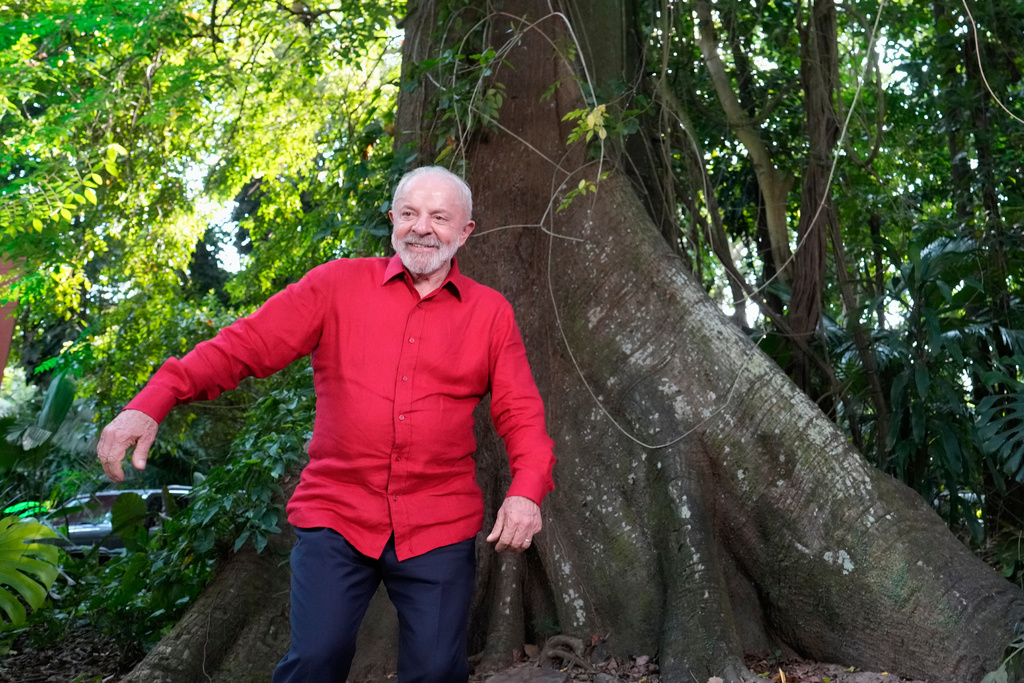 FILE - Brazil's President Luiz Inacio Lula da Silva poses for a photo next to a Samauma tree ahead of the COP30 U.N. Climate Summit, in Belem, Brazil, Nov. 5, 2025. (AP Photo/Eraldo Peres, File)