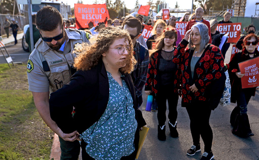 Animal welfare activist Zoe Rosenberg is arrested on a warrant by Sonoma County sheriff's deputy Joel Auerbach after a rally and subsequent march in response to the sentencing of fellow activist Wayne Hsiung at Sonoma County Superior Court in Santa Rosa, Nov. 30, 2023. (Chad Surmick/The Press Democrat via AP) Animal welfare activist Zoe Rosenberg is arrested on a warrant by Sonoma County sheriff's deputy Joel Auerbach after a rally and subsequent march in response to the sentencing of fellow activist Wayne Hsiung at Sonoma County Superior Court in Santa Rosa, Nov. 30, 2023. (Chad Surmick/The Press Democrat via AP)