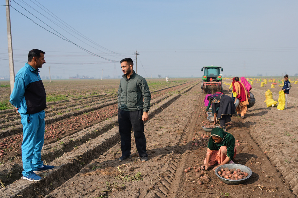 Indian farmer Bir Virk, second left, talks with his neighboring farmer about using AI, or Artificial Intelligence technology in farming, near Karnal, India, on Feb. 10, 2026. (AP Photo/Piyush Nagpal)