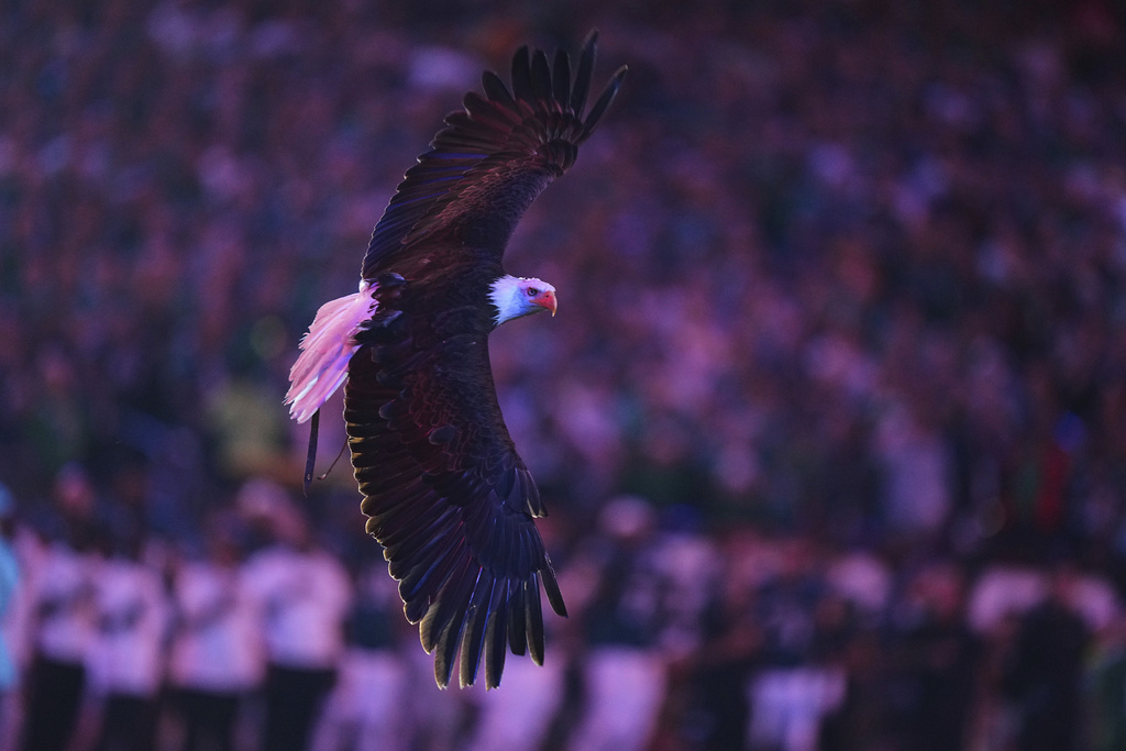 An eagle flies inside Lincoln Financial Field before an NFL football game between the Philadelphia Eagles and Dallas Cowboys Thursday, Sept. 4, 2025, in Philadelphia. (AP Photo/Matt Rourke)