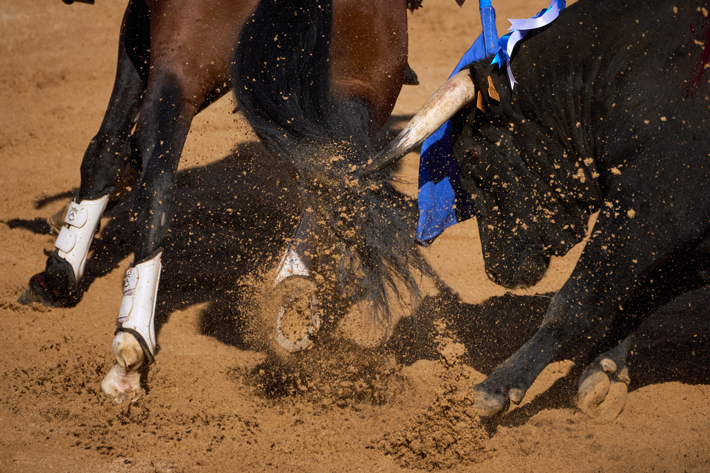 A bull charges at the horse of Spanish rejoneador Andy Cartagena during a bullfight at the San Fermín festival in Pamplona, northern Spain, Monday, July 6, 2026. (AP Photo/Miguel Oses)