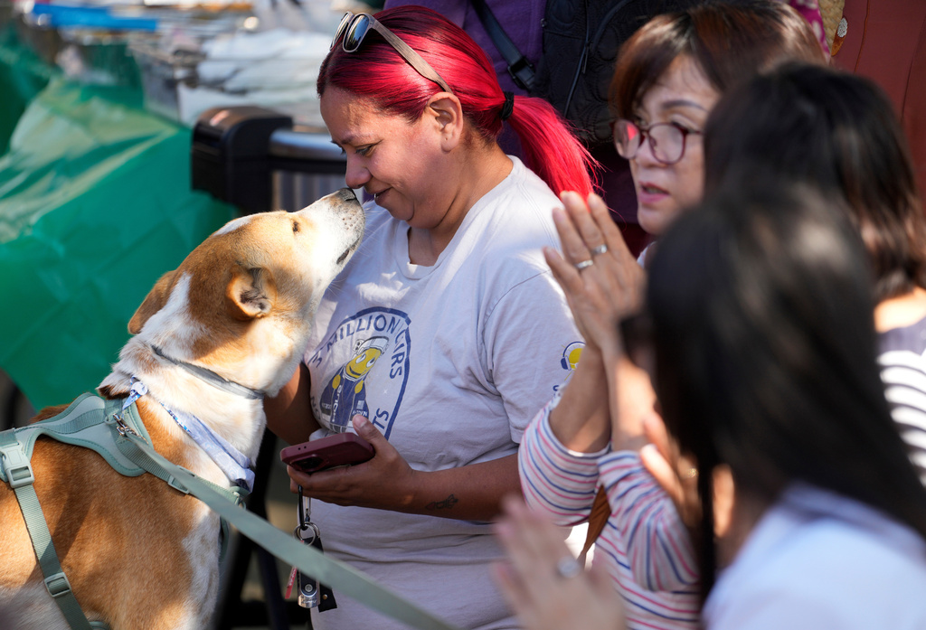 Mara Llorente pets Aloka a dog traveling with the Buddhist monks from the Huong Dao Vipassana Bhavana Center in Fort Worth, who are undertaking a 2,300 mile pilgrimage of "Walk for Peace," during a welcome ceremony at Hong Kong City Mall in Houston, Friday, Nov. 14, 2025. (Melissa Phillip/Houston Chronicle via AP)
