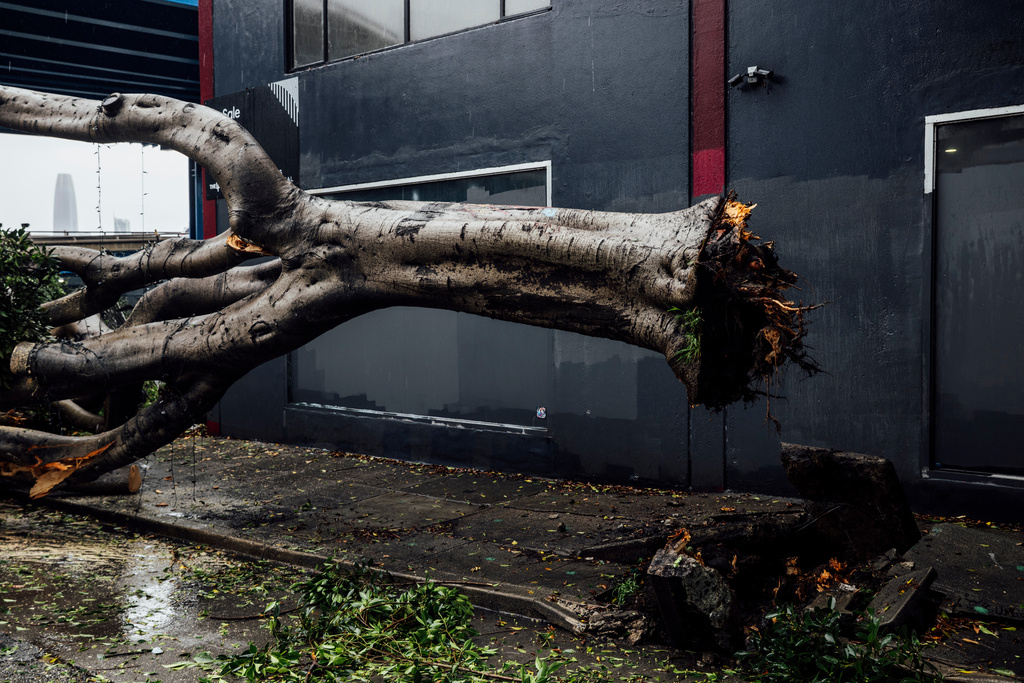 A downed tree is seen on Potrero Avenue amidst the ongoing winter storm, in San Francisco, Tuesday, Feb. 17, 2026. (Stephen Lam/San Francisco Chronicle via AP)