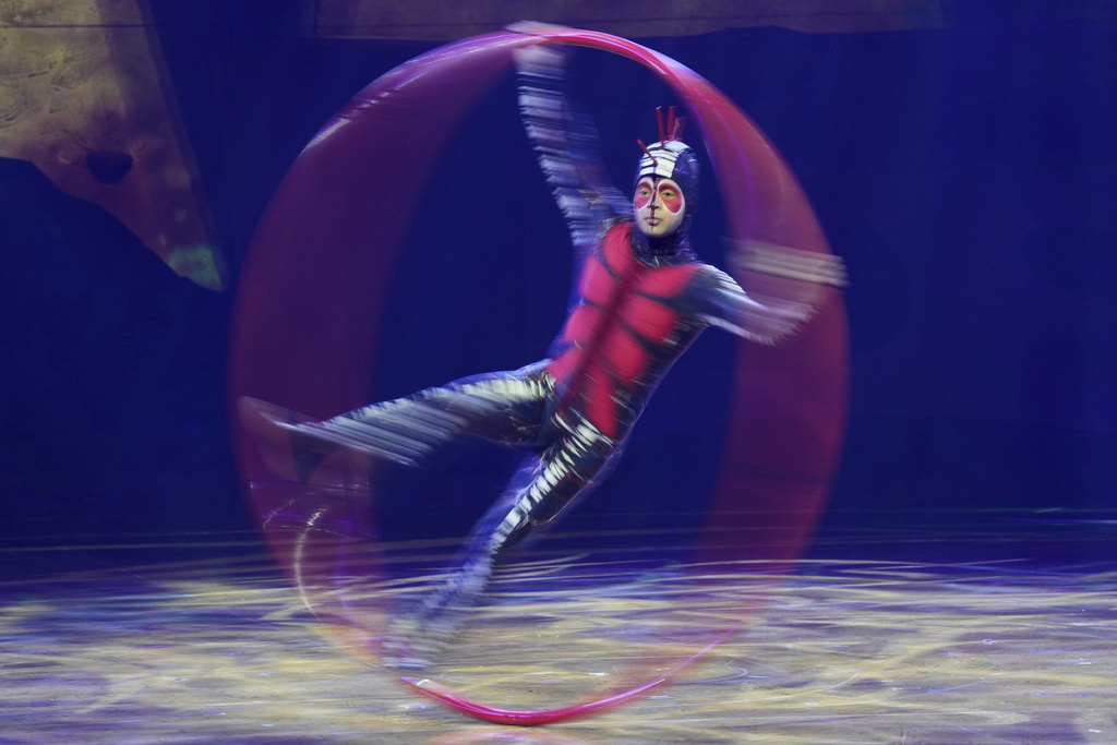 Acrobats from Cirque du Soleil rehearse for the show entitled 'Ovo' at The Royal Albert Hall, in London, Thursday, Jan. 8, 2026. (AP Photo/Kin Cheung)