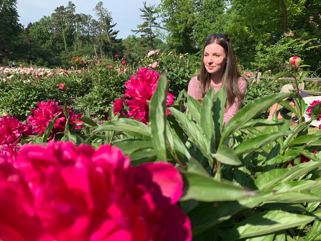 Nicole Calvin crouches down to look at peonies on display at Nichols Arboretum's W.E. Upjohn Peony Garden, Monday, June 1, 2026, in Ann Arbor, Mich. (AP Photo/Mike Householder)