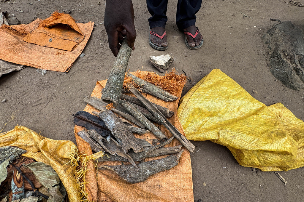A traditional healer displays herbal medicines used for healing in Kikyo Trading village, Bundibugyo District, Uganda, Wednesday, June 3, 2026. (AP Photo/Hajarah Nalwadda)