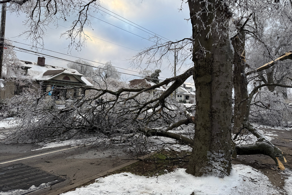 A tree blocks the road days after an ice storm in Nashville, Tenn., on Tuesday, Jan. 27, 2026. (AP Photo/Travis Loller)