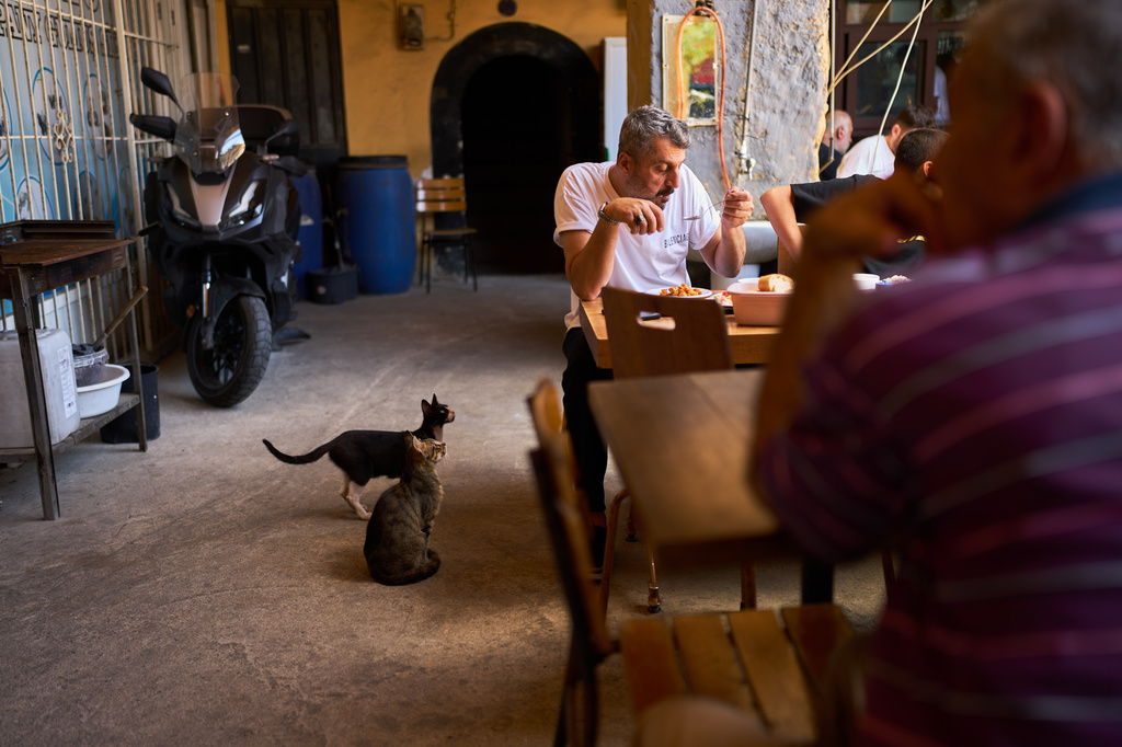 Craftsmen eat lunch as cats linger nearby during a break in the Buyukhan artisan quarter in Istanbul, Turkey, Thursday, Aug. 6, 2026. (AP Photo/Francisco Seco)