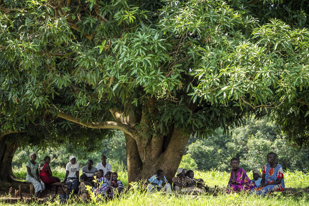 Participants take a break under a tree from a Self Help Plus stress management session taking place in Kotobi, Mundri West County, South Sudan, June 26, 2025. (AP Photo/Florence Miettaux)