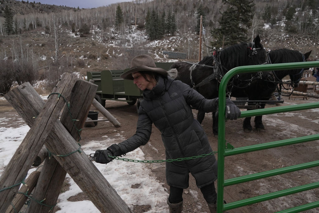 Nicole Godley closes a gate Thursday, Dec. 18, 2025, in Edwards, Colo. The owner of Bearcat Stables traded sleighs for wagons to transport tourists as a snow drought tightens its grip on the U.S. West. (AP Photo/Brittany Peterson)