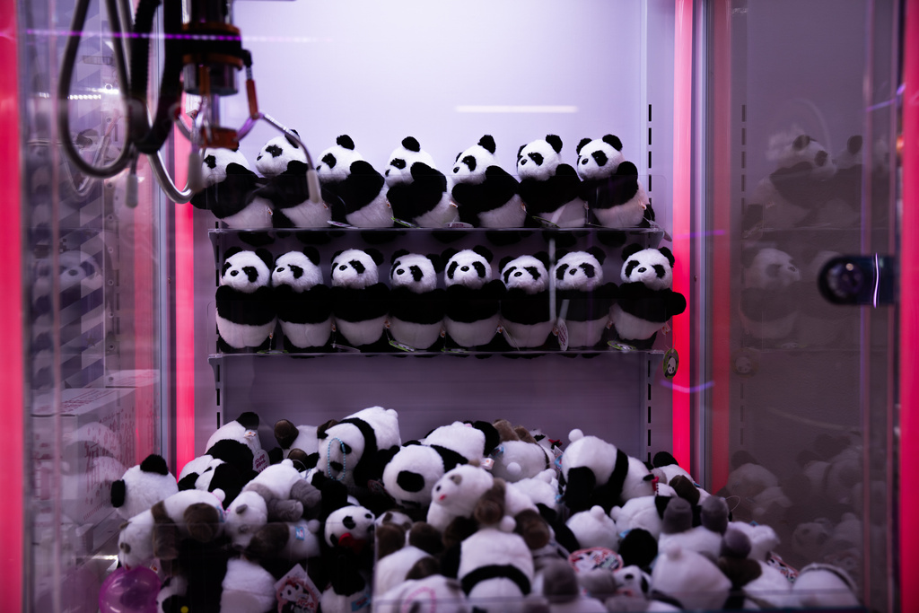 Plush panda toys are displayed inside a claw machine at an arcade near Ueno Zoo in Tokyo, Thursday, Jan. 8, 2026. (AP Photo/Louise Delmotte)