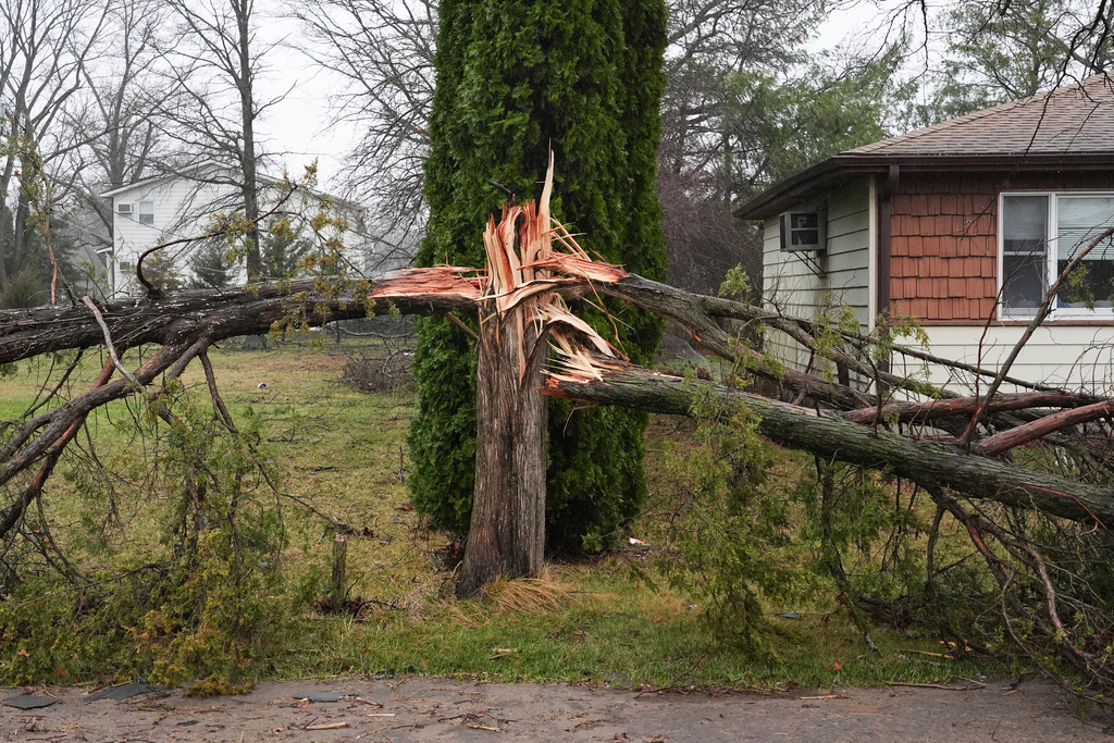 A storm-damaged tree stands outside a home in the aftermath of a powerful storm that ripped through the area a day earlier, in Lake Village, Ind., Wednesday, March 11, 2026. (AP Photo/Nam Y. Huh)