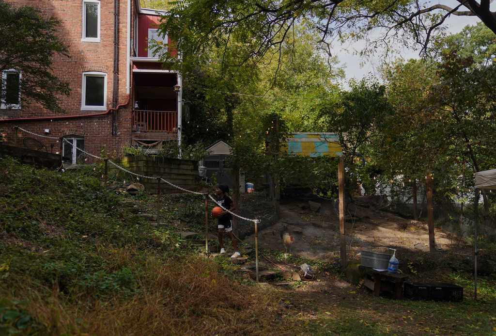 A boy prepares to throw a basketball up the hill to his friends while at the Baltimore Gift Economy's third annual "Finding Home" gathering on Collins Avenue in Baltimore on Sunday, Oct. 19, 2025. (AP Photo/Jessie Wardarski)