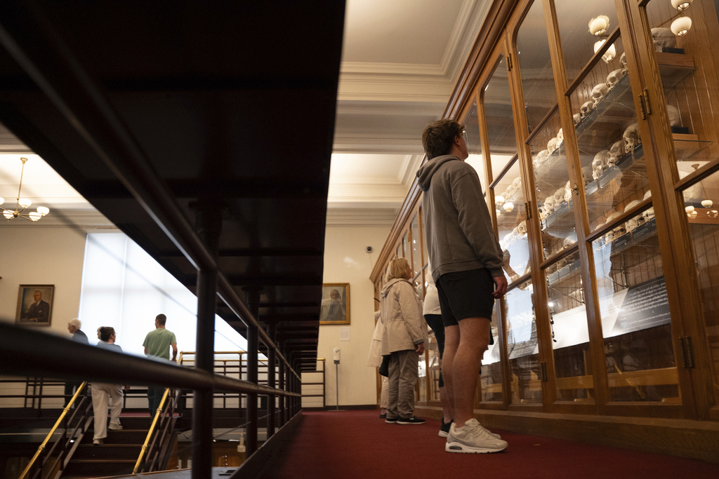 Visitors look at displays of human remains at the Mütter Museum on Thursday, Aug. 21, 2025, in Philadelphia. (AP Photo/Mingson Lau)