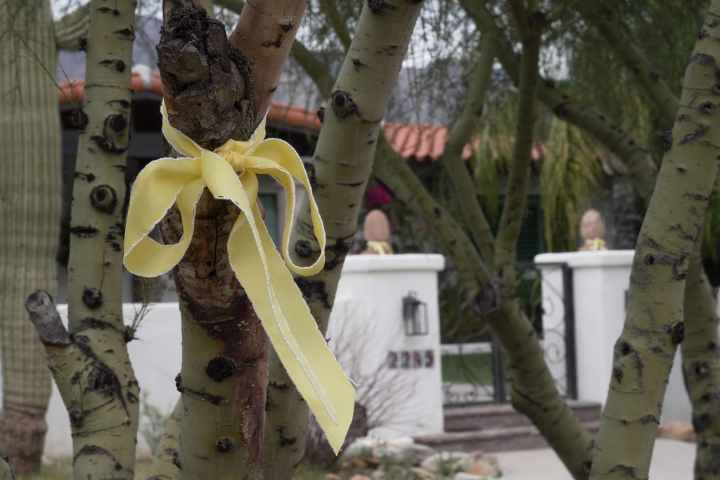 People hang yellow ribbons in their neighborhood around Nancy Guthrie’s home in Tucson, Ariz., on Friday, Feb. 13, 2026. (AP Photo/Ty ONeil)