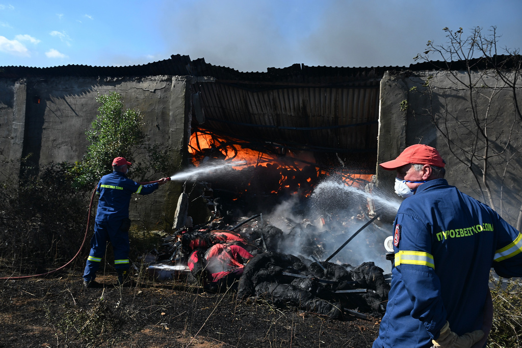 Firefighters try to extinguish a fire at a warehouse during a wildfire on the outskirts of the northern city of Thessaloniki, Greece, Sunday, July 5, 2026. (AP Photo/Giannis Papanikos)