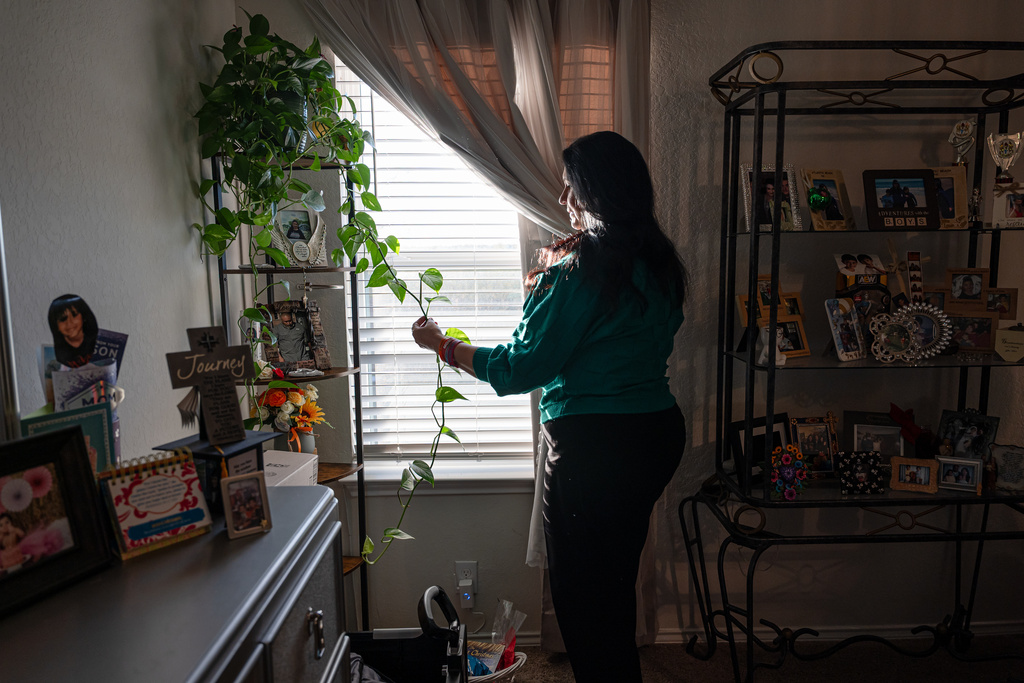 Velma Lisa Duran, sister of Robb Elementary teacher Irma Garcia, keeps a plant at her home that was similar to the one that her sister kept in her classroom, Dec. 19, 2025, in San Antonio. (AP Photo/Kin Man Hui)