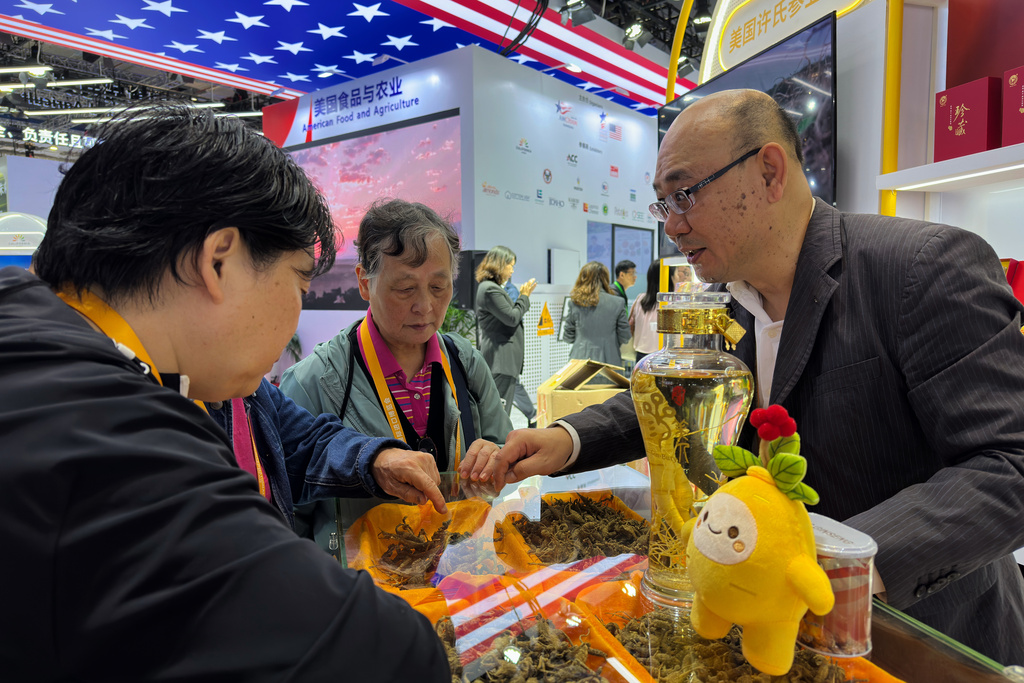 An exhibitor introduces the ginseng products to visitors at the exhibition booth of American Food and Agriculture during the China International Import Expo, in Shanghai, China, Thursday, Nov. 6, 2025. (AP Photo/Wayne Zhang)