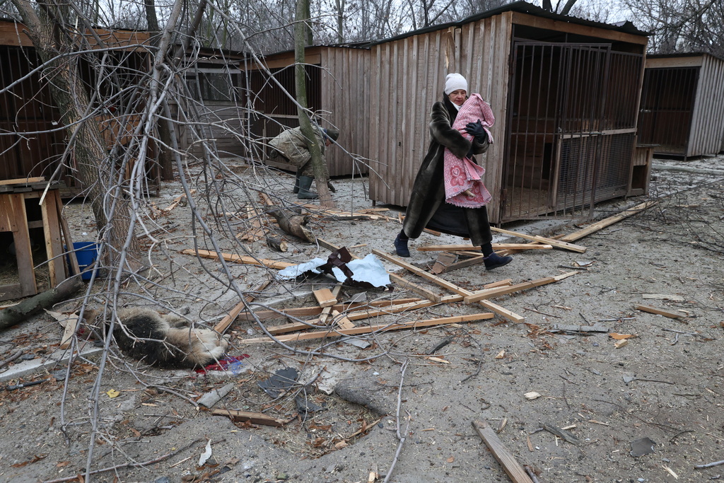 People evacuate wounded dogs after a Russian aerial strike hit a stray dog shelter in Zaporizhzhia, Ukraine, Friday, Feb. 6, 2026. (AP Photo/Kateryna Klochko)
